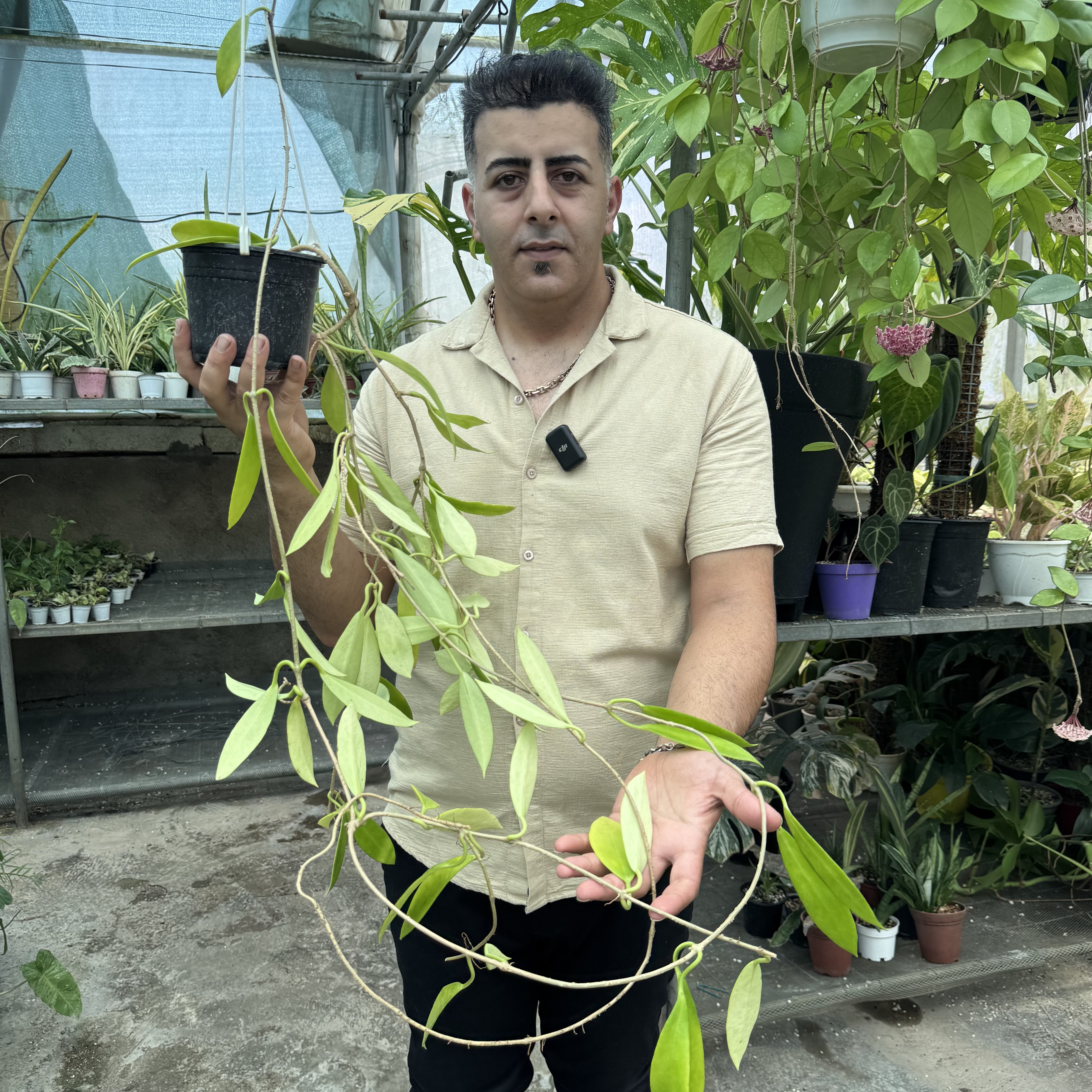هویابلک دراگون کد ۱۱۱