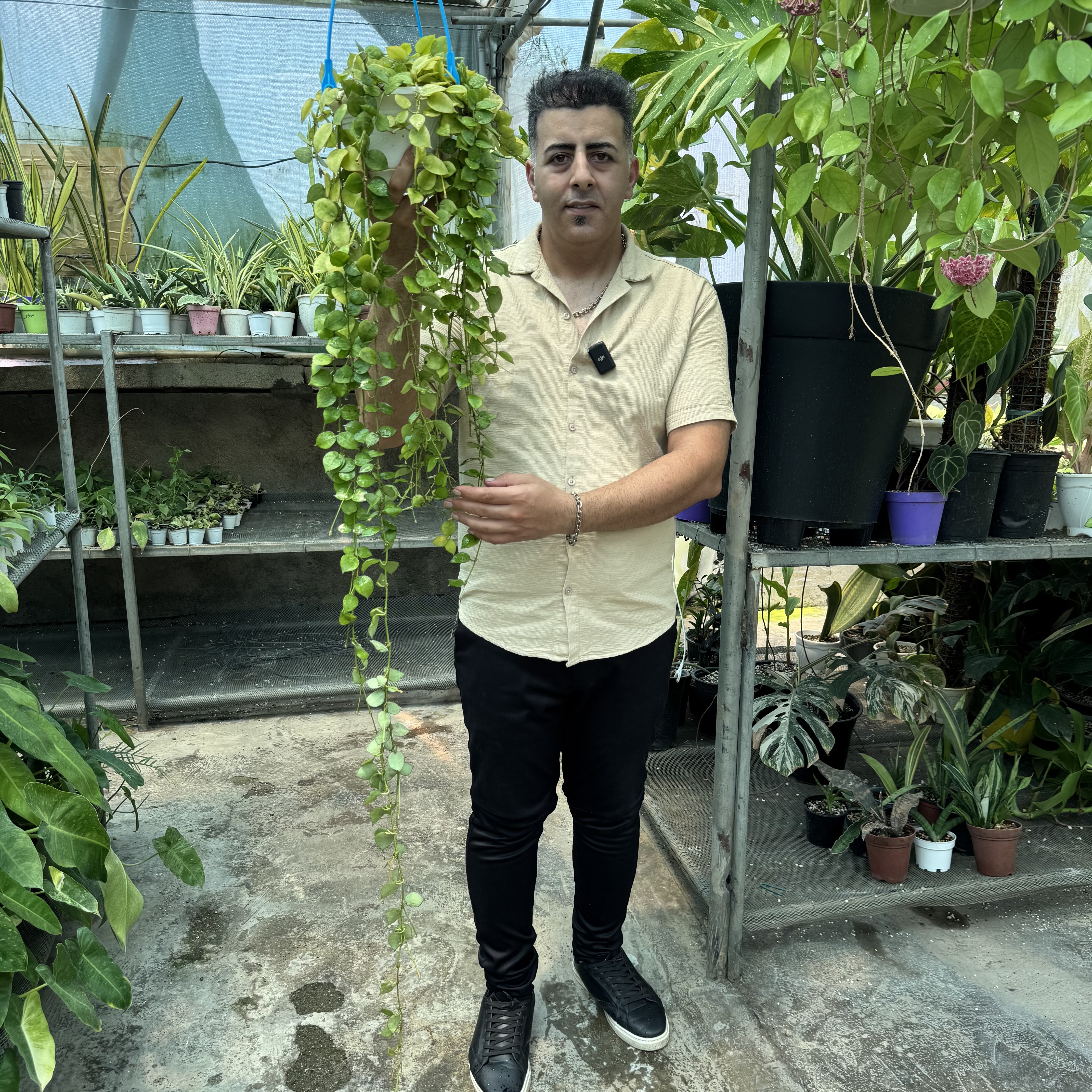 هویاکروهنیانا کد ۱۱۸