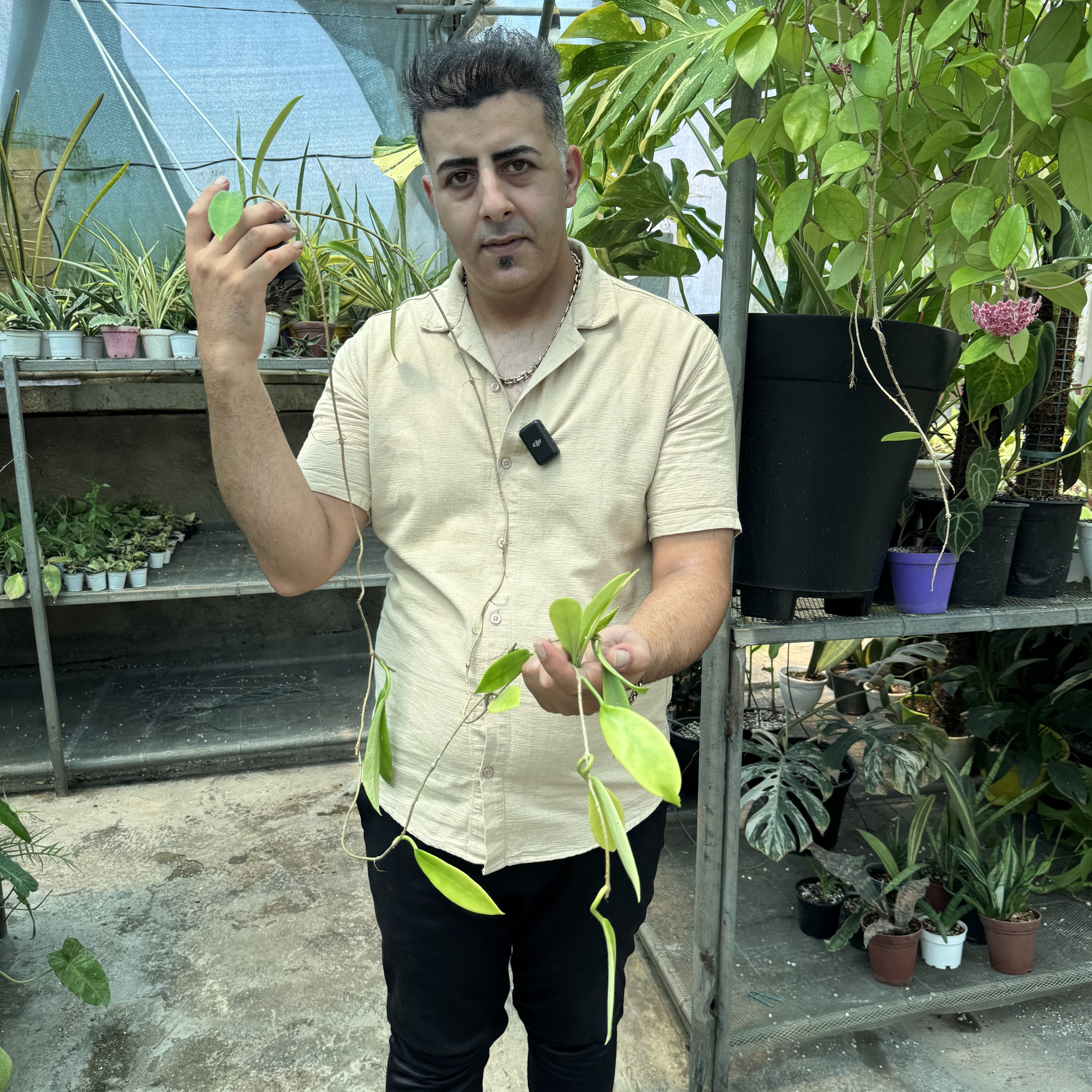 هویابلک دراگون کد ۱۲۲