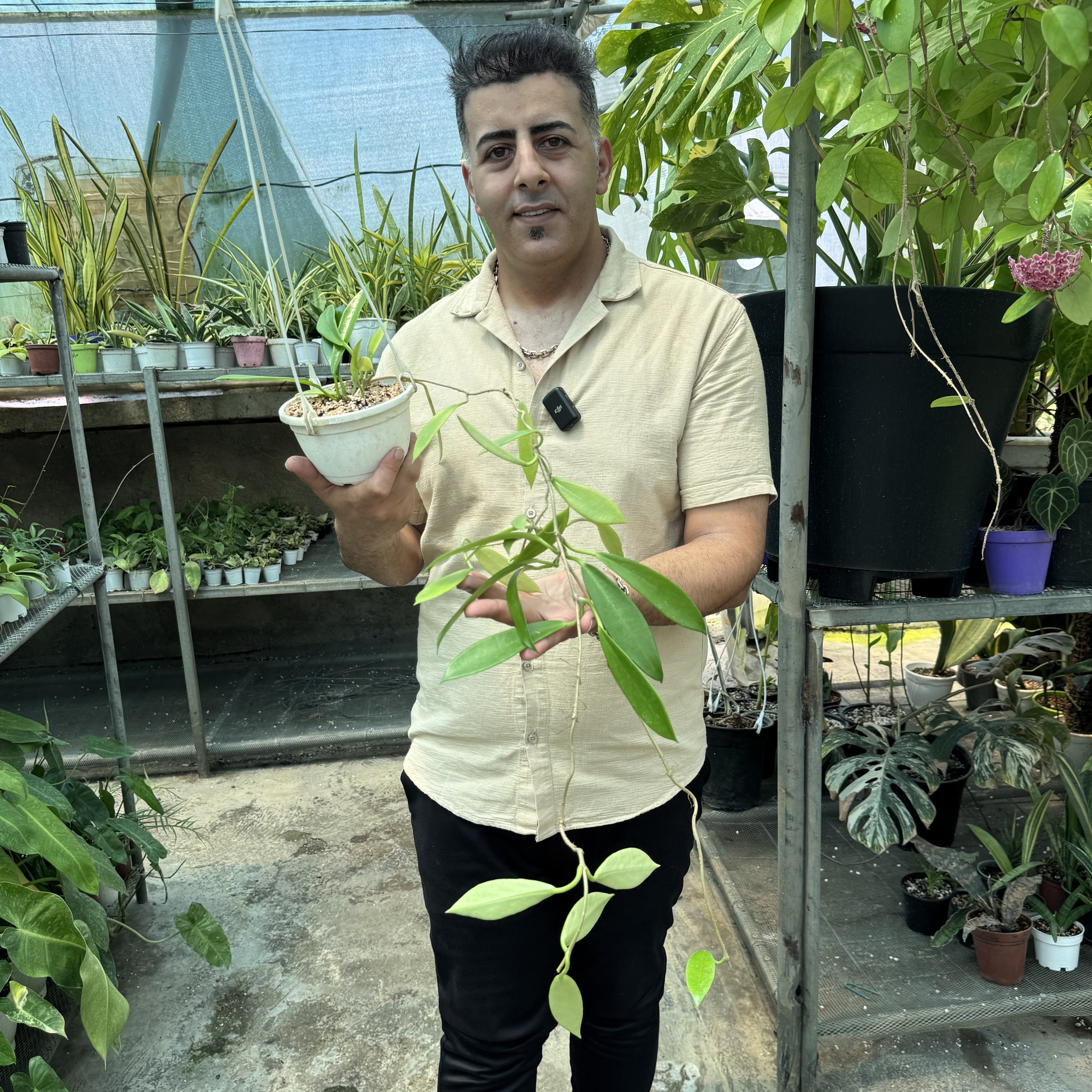 هویابلک دراگون کد ۱۲۴
