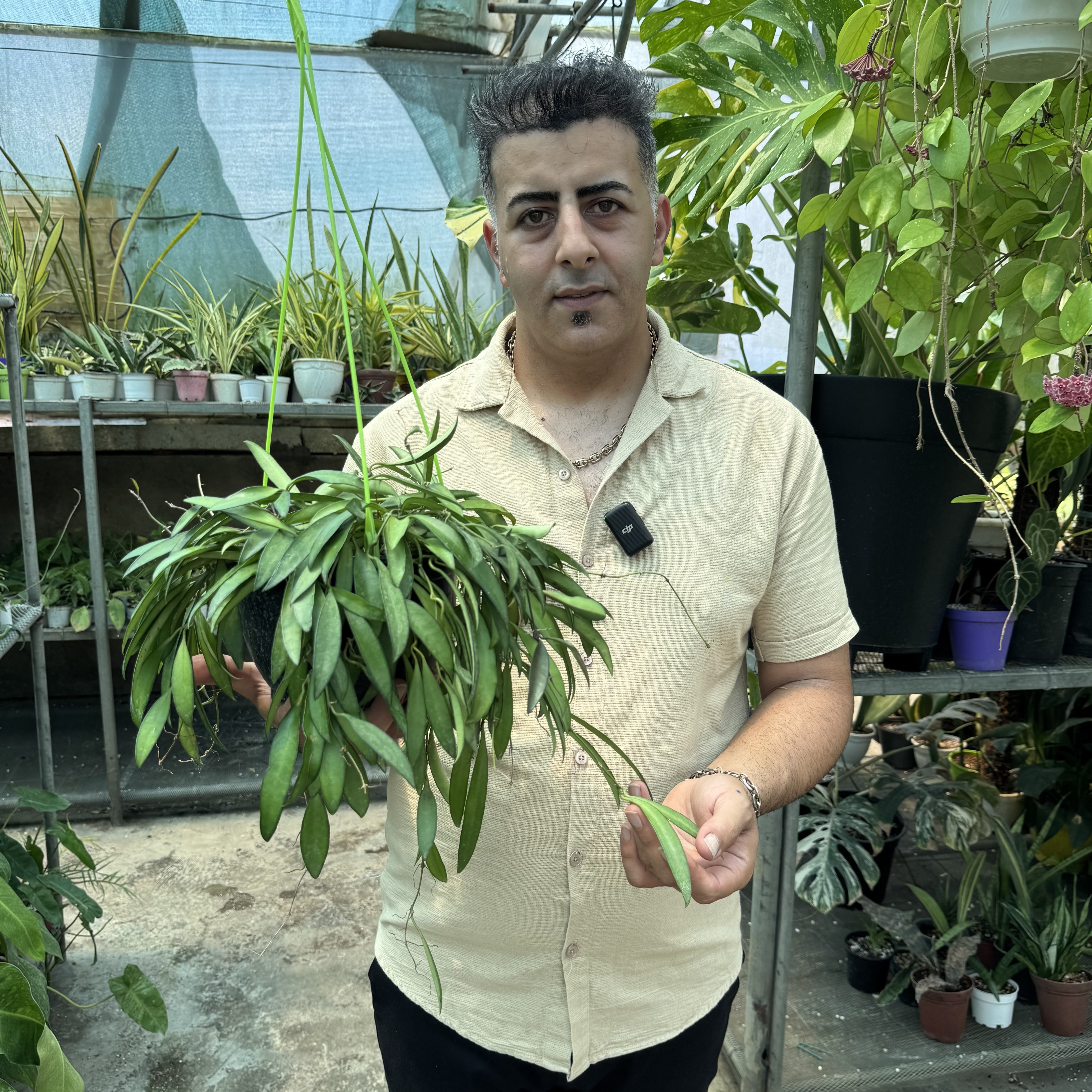 هویاوایتی کد ۱۳۱