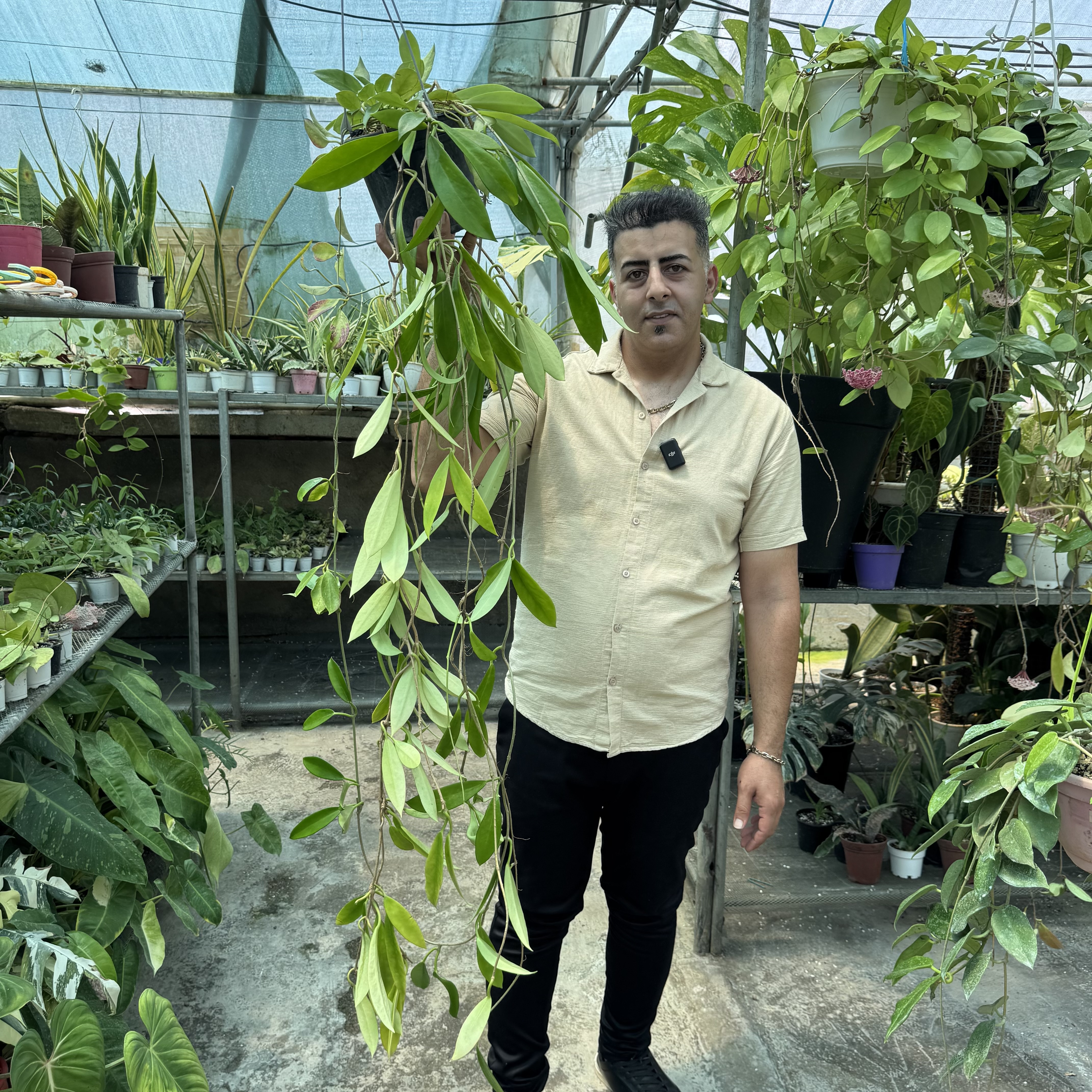هویابلک دراگون کد ۱۳۲