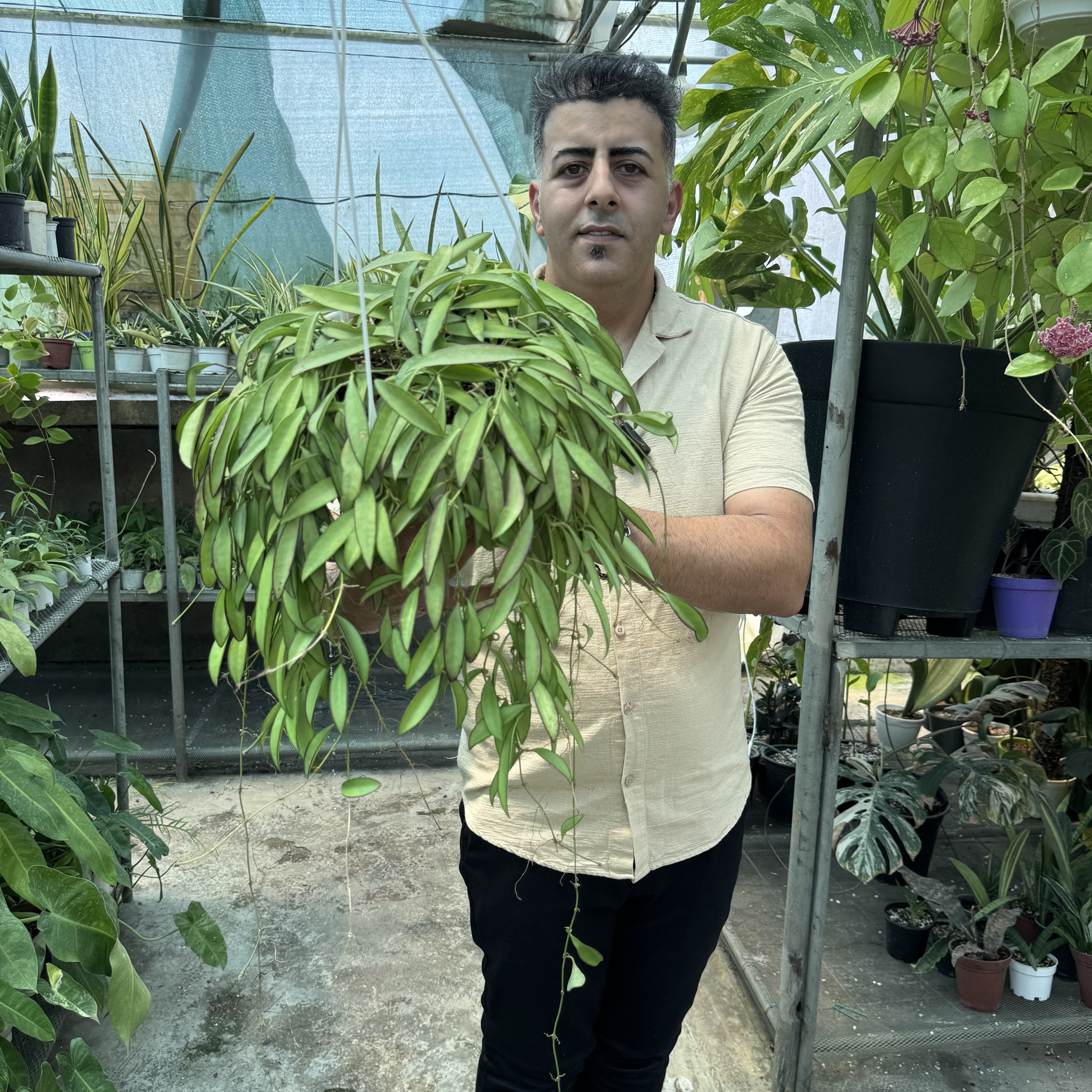 هویاوایتی کد ۱۳۴