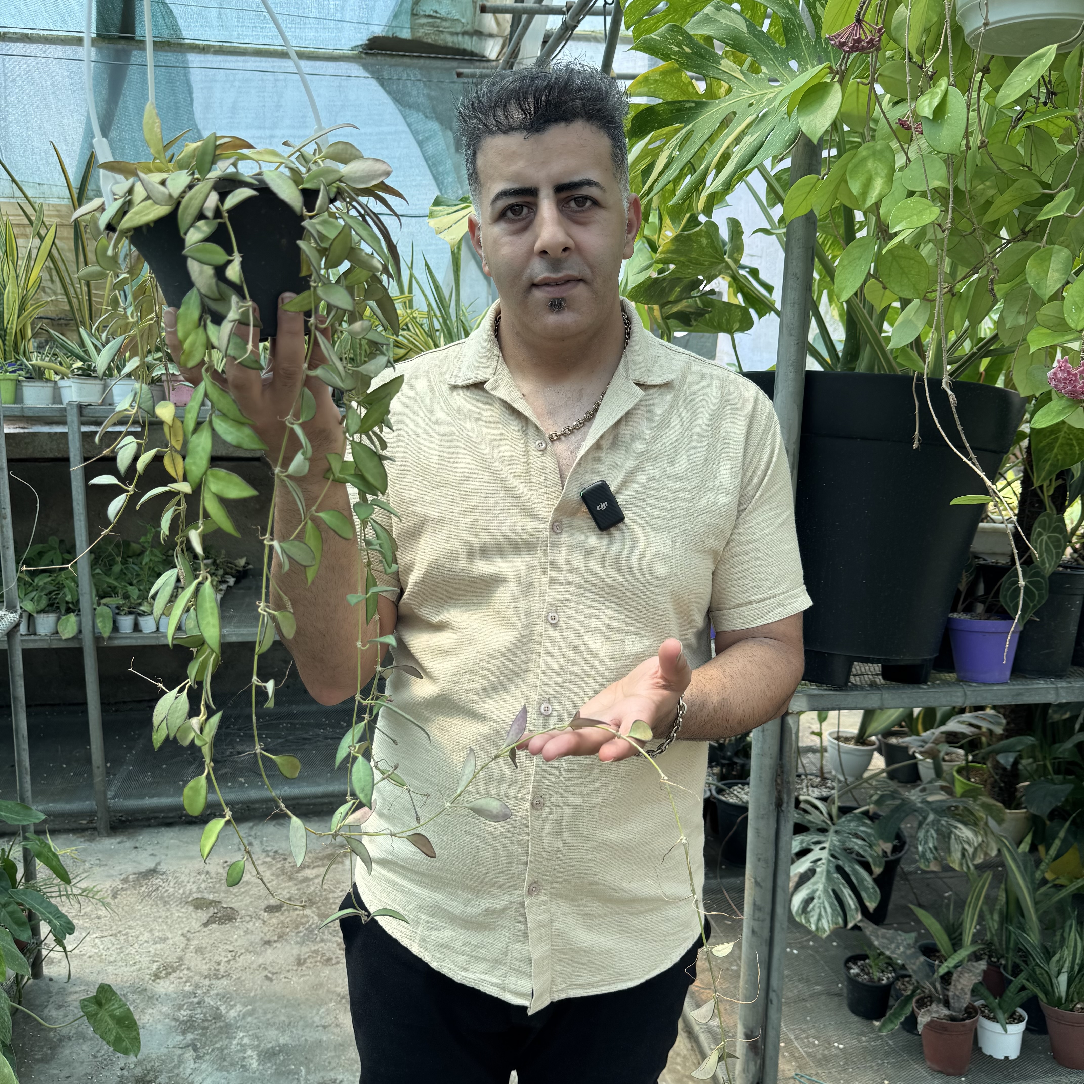هویارزیتا کد ۱۳۶