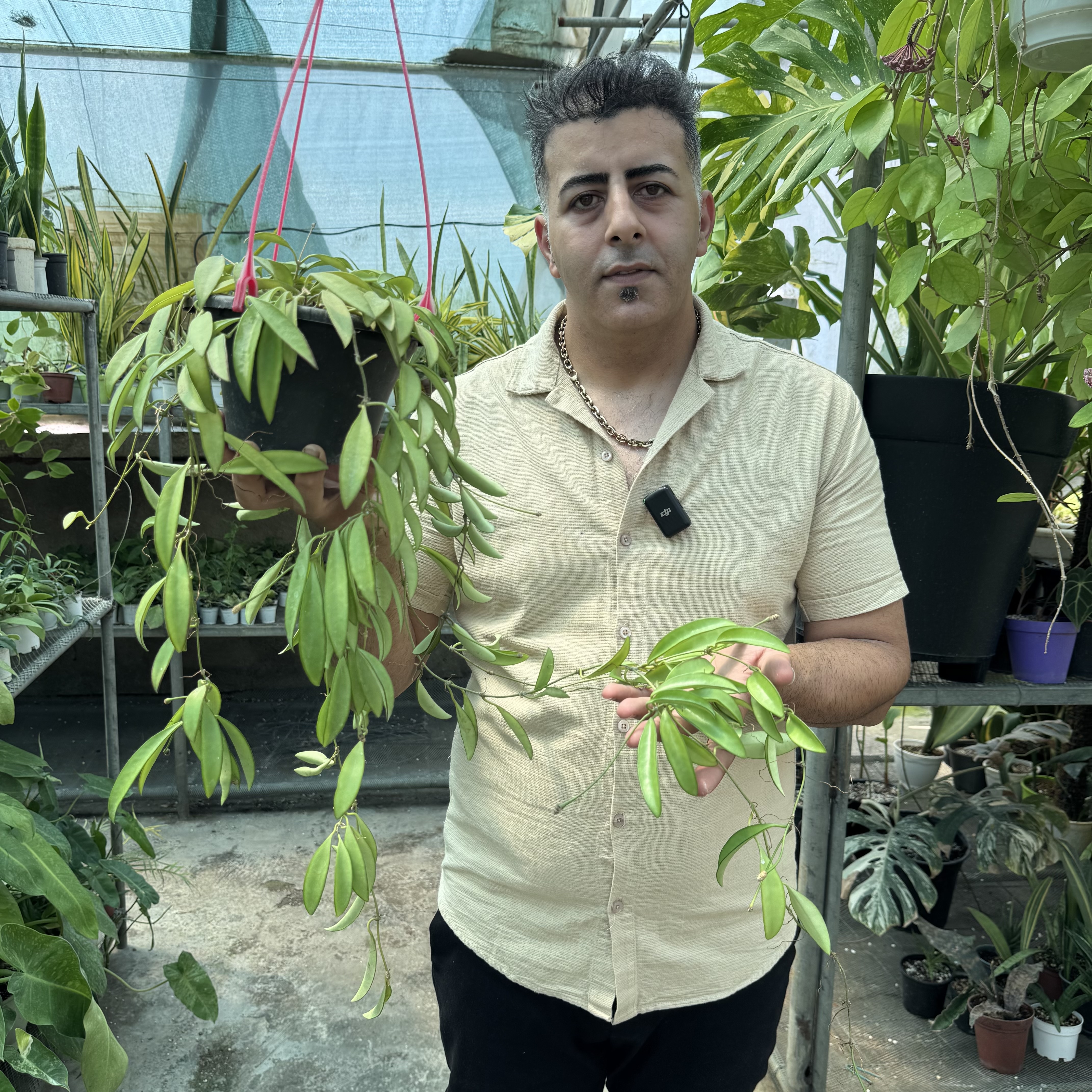 هویا وایتی کد ۱۴۴