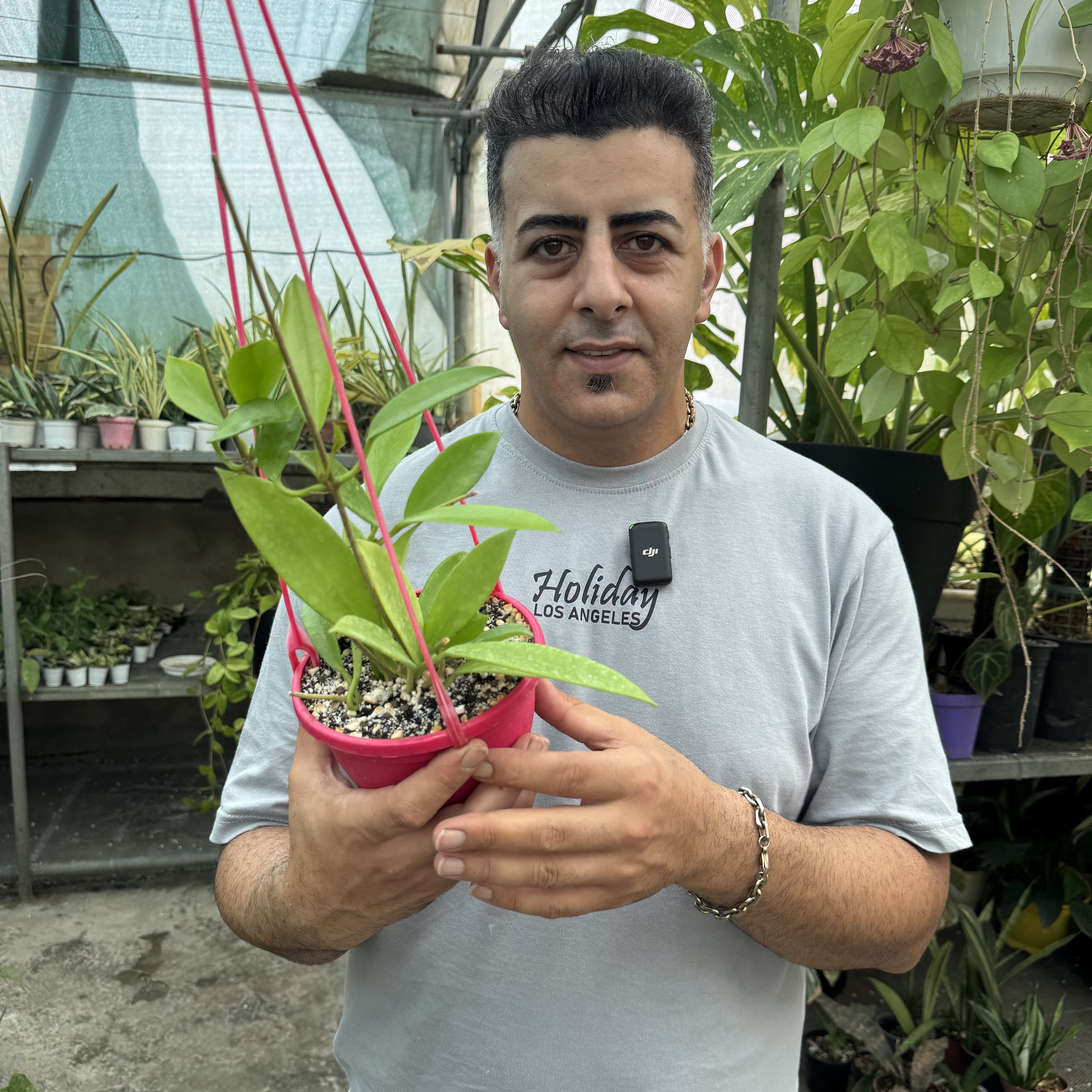 هویابلک دراگون کد ۱۶۲