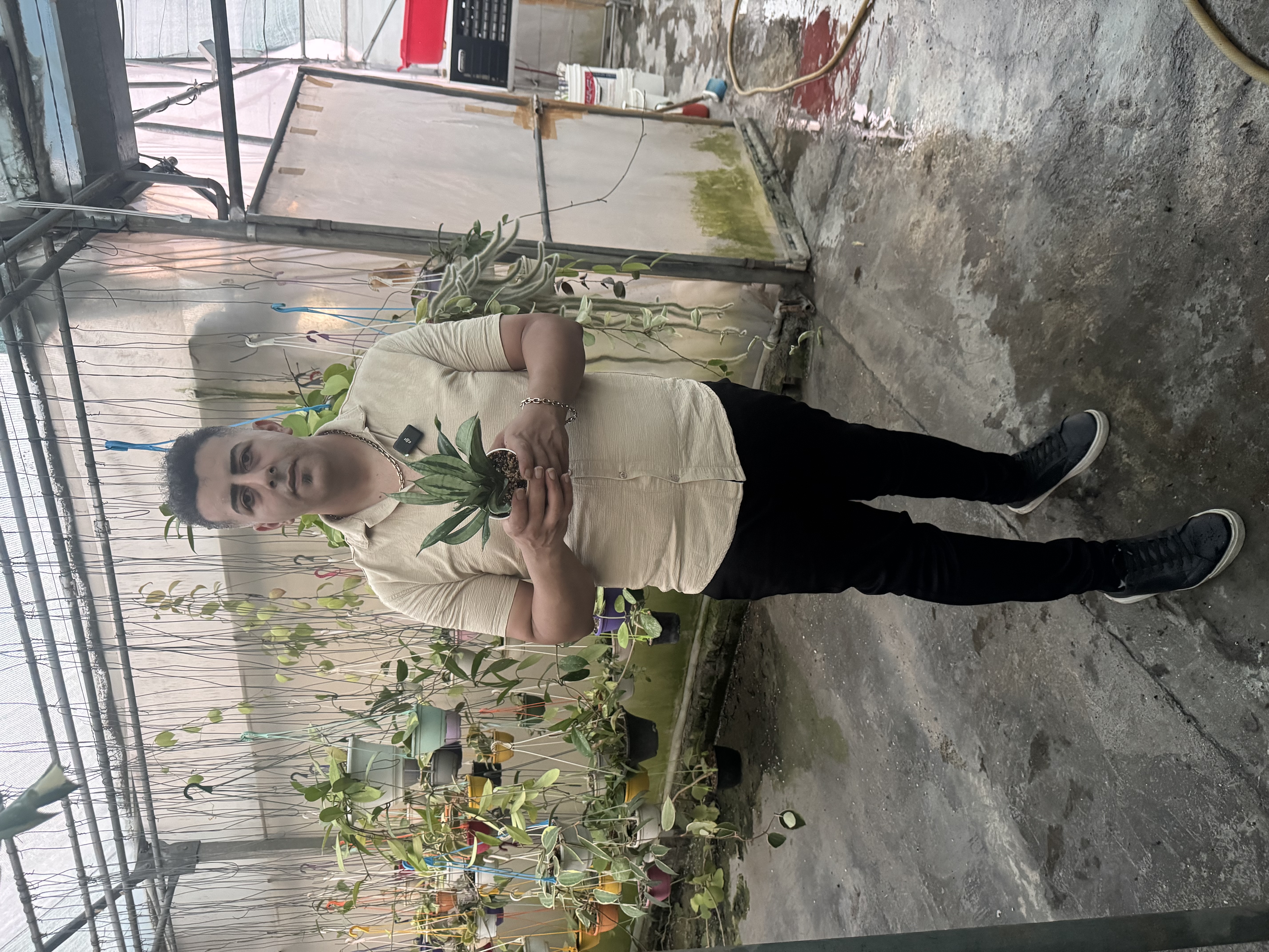 کد ۲۰ سانسوریامونشاین