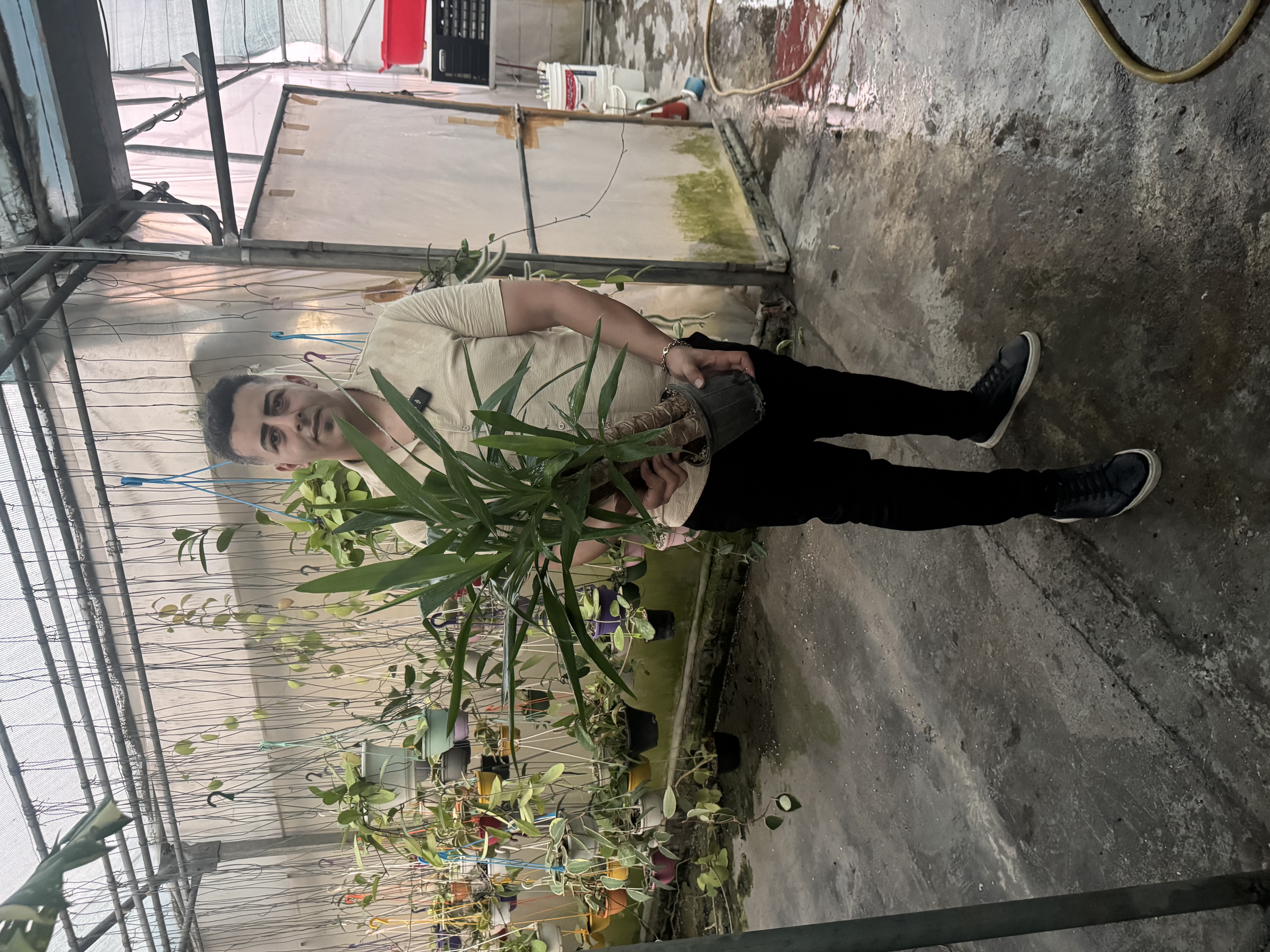 کد ۲۳ یوکا بن سای
