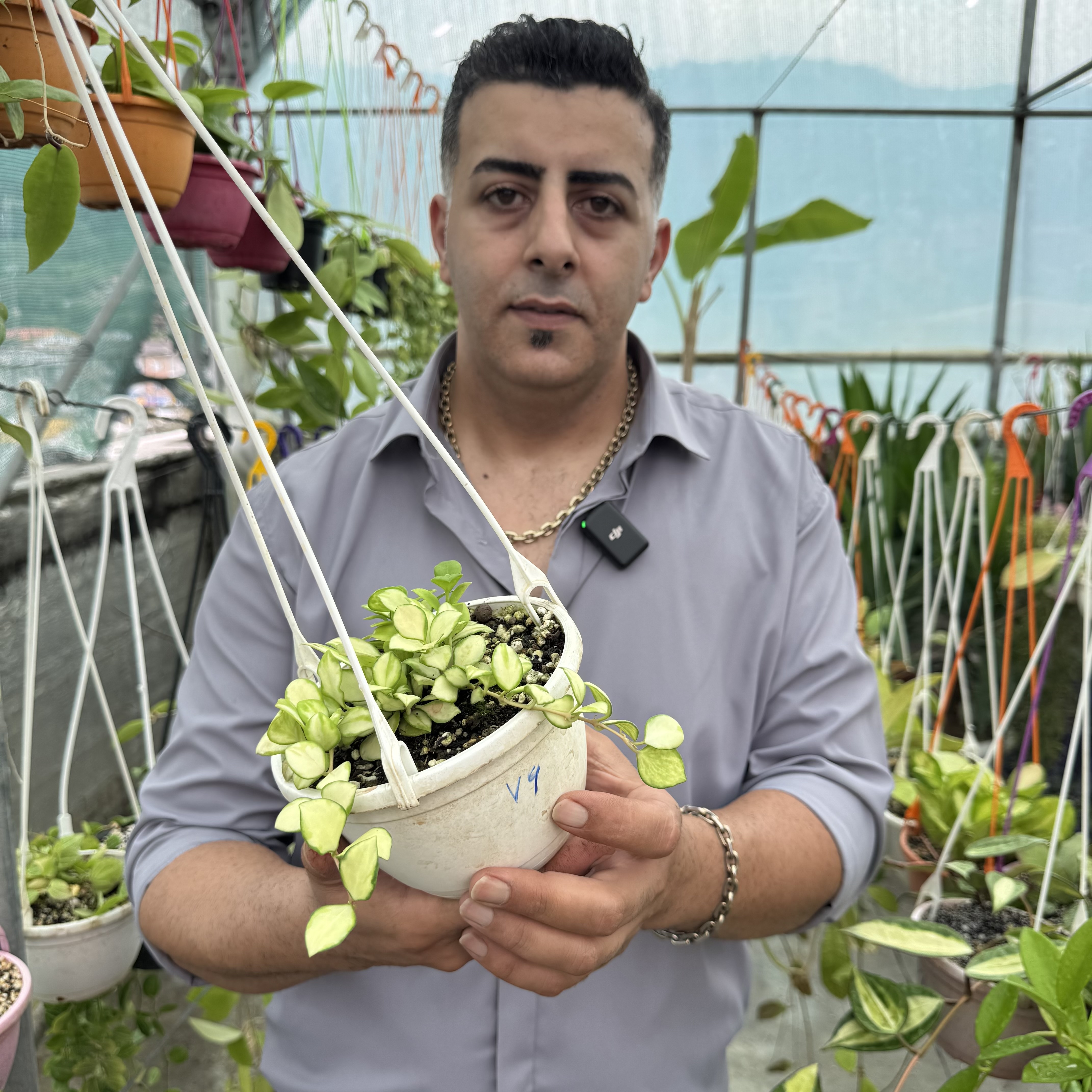 کد ۷۶ هویاهوشکلیاناابلق