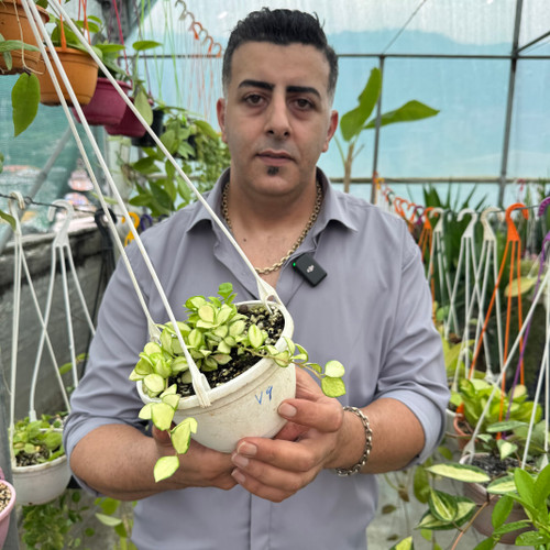 کد ۷۶ هویاهوشکلیاناابلق