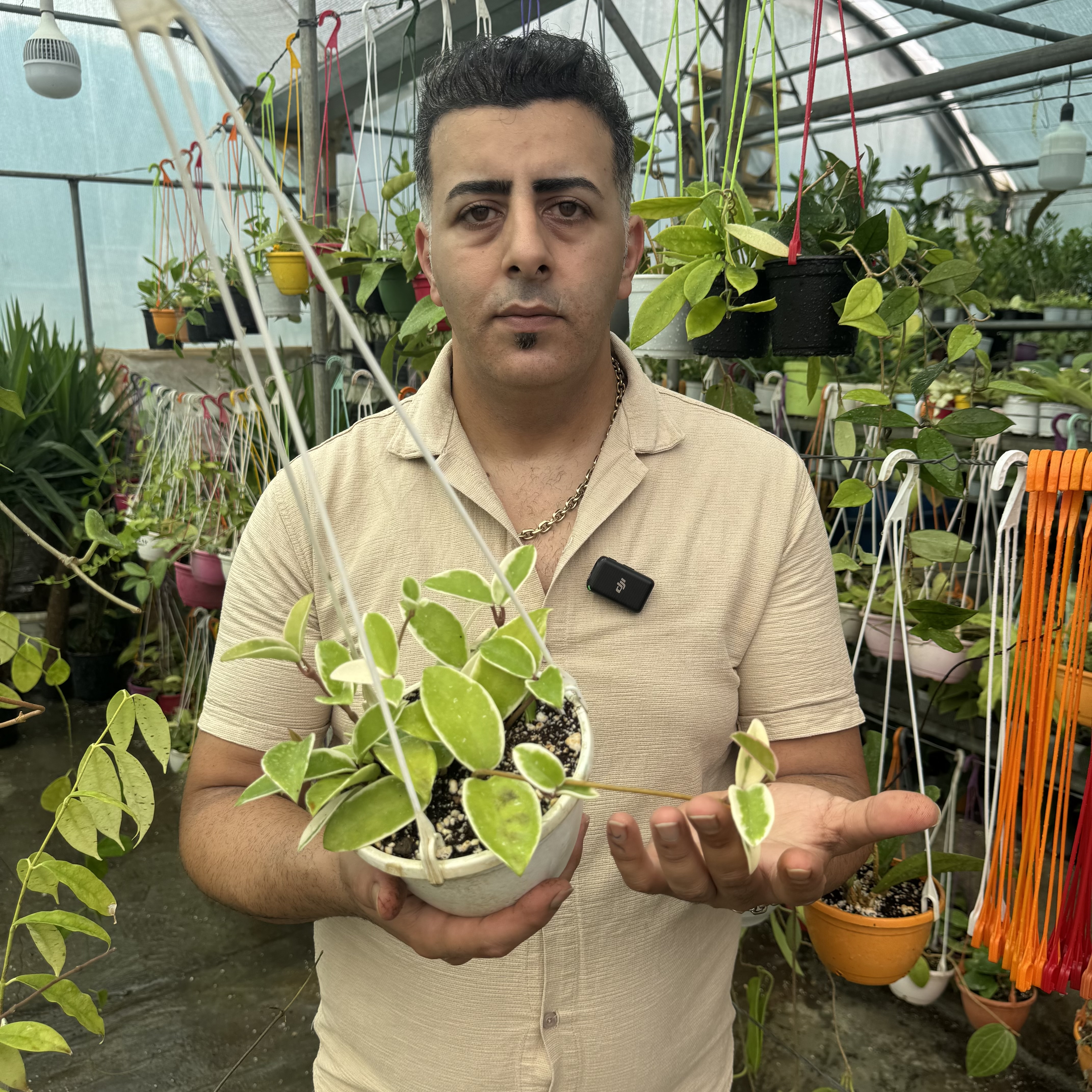 کد ۱۰۸ هویاکریسمون کویین