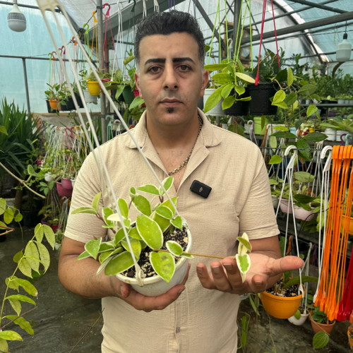 کد ۱۰۸ هویاکریسمون کویین