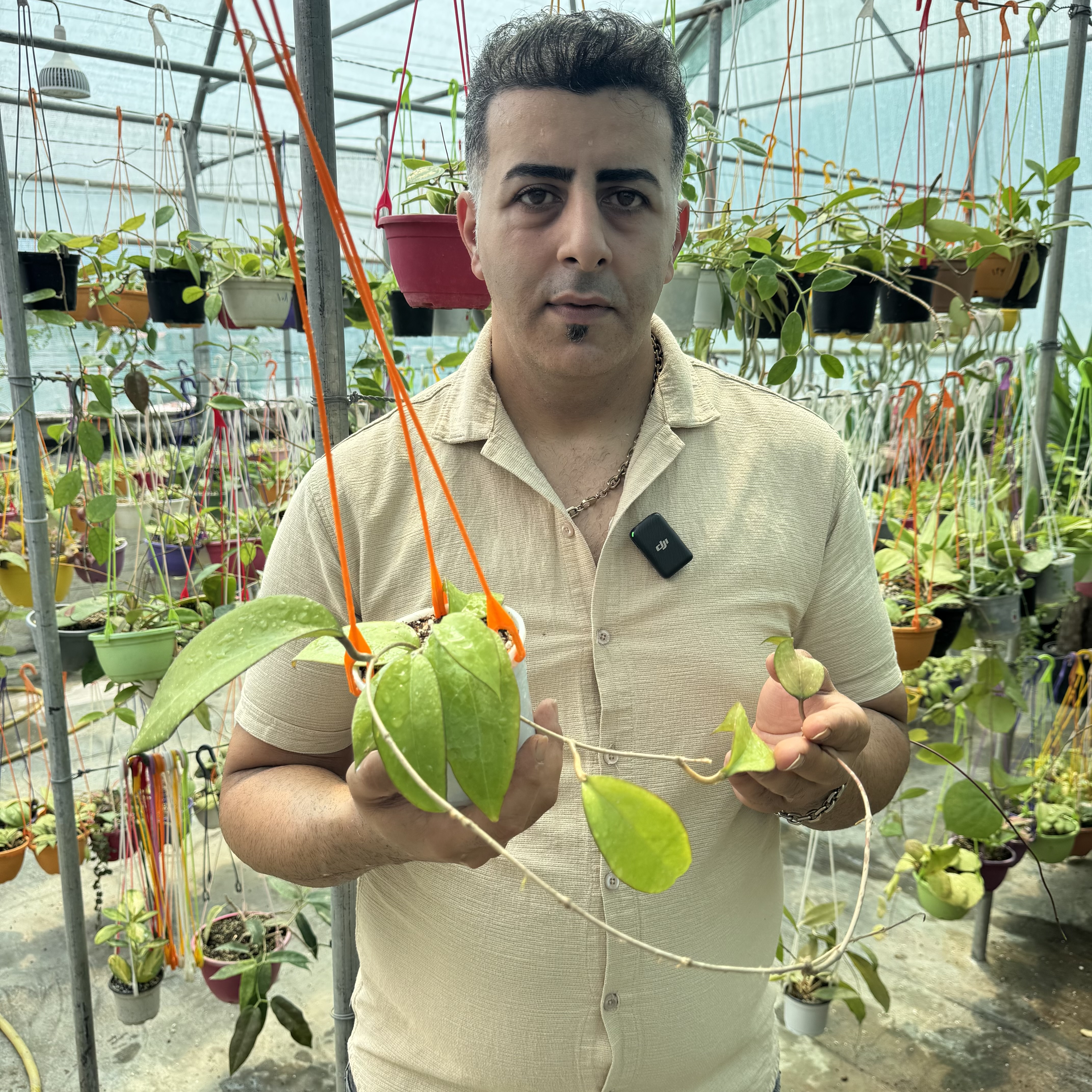 کد ۱۲۸ هویا ویتلینا کلکسیونی