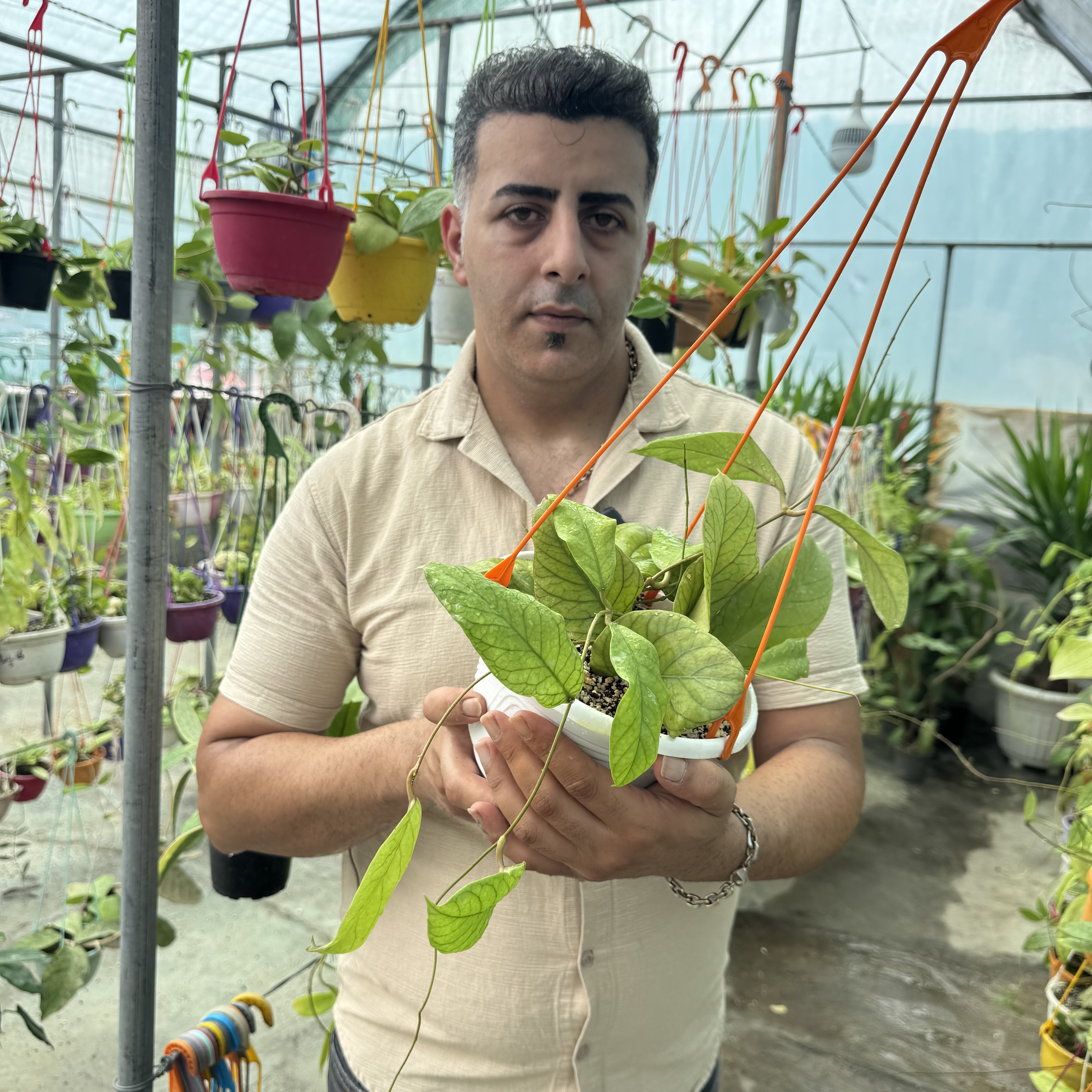کد ۱۳۸ هویامریدیتی کلکسیونی