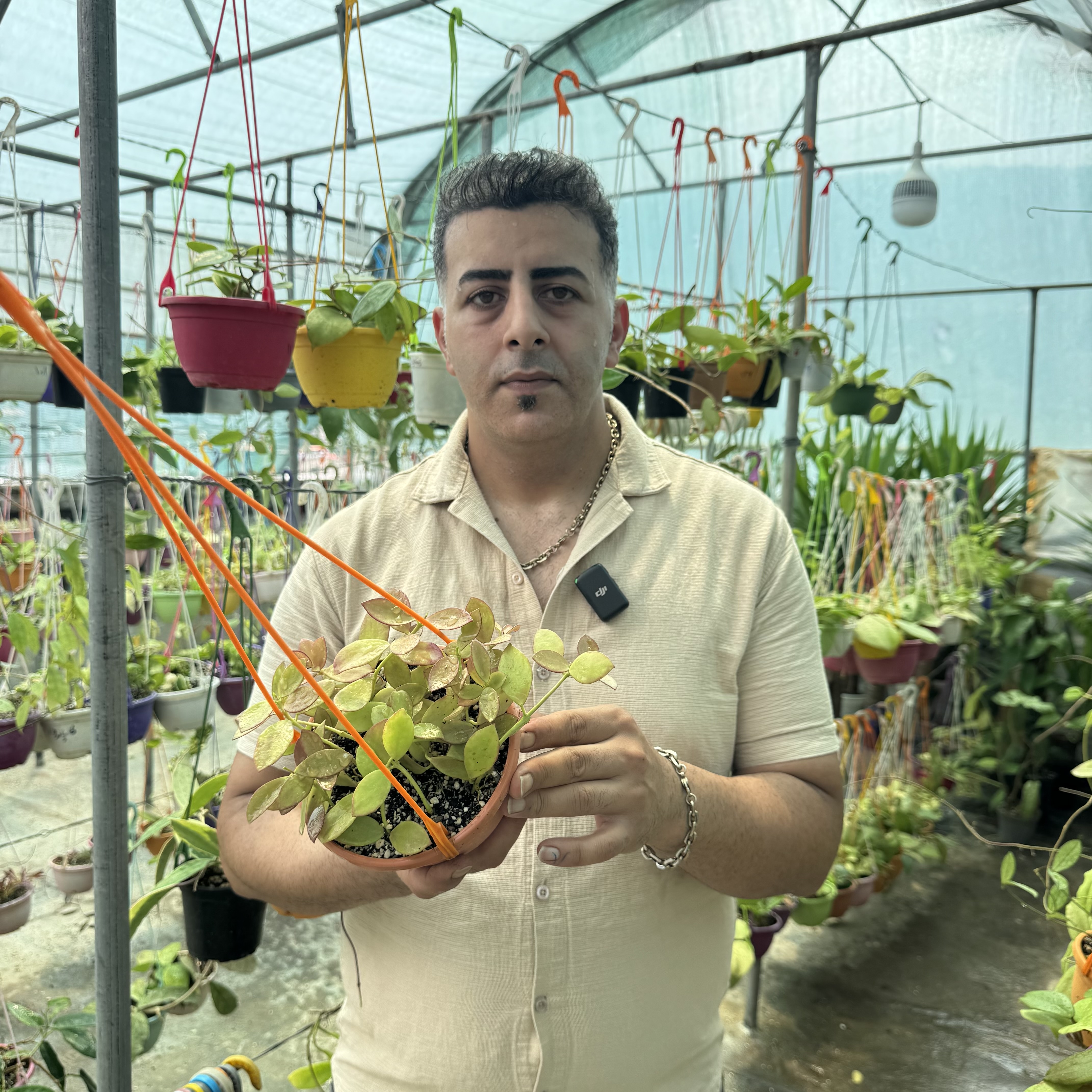 کد ۱۵۲ هویا کولینا فوق کلکسیونی